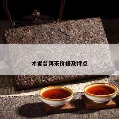 才者普洱茶价格及特点