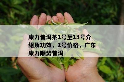 康力普洱茶1号至13号介绍及功效，2号价格，广东康力顺势普洱