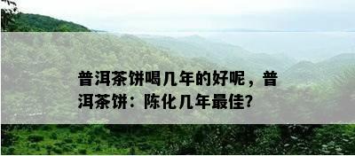 普洱茶饼喝几年的好呢，普洱茶饼：陈化几年更佳？