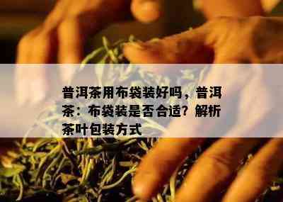 普洱茶用布袋装好吗，普洱茶：布袋装是否合适？解析茶叶包装方式