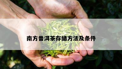 南方普洱茶存储方法及条件