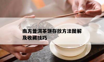 南方普洱茶饼存放方法图解及收藏技巧