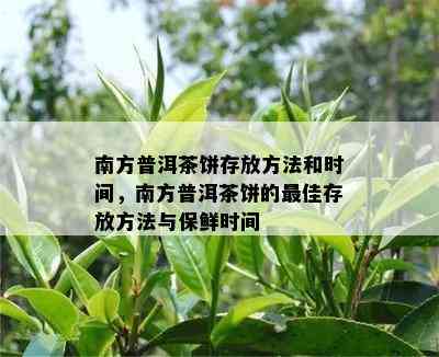 南方普洱茶饼存放方法和时间，南方普洱茶饼的更佳存放方法与保鲜时间