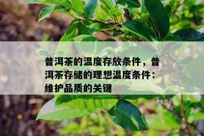 普洱茶的温度存放条件，普洱茶存储的理想温度条件：维护品质的关键