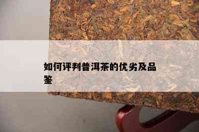 如何评判普洱茶的优劣及品鉴