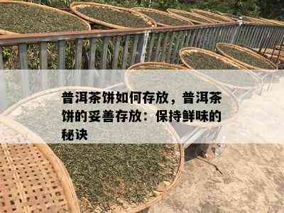 普洱茶饼如何存放，普洱茶饼的妥善存放：保持鲜味的秘诀