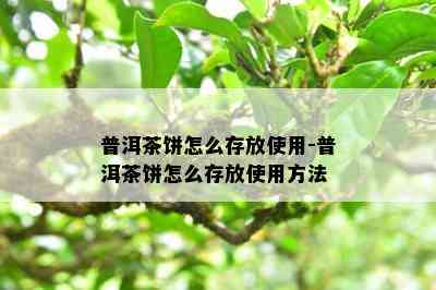 普洱茶饼怎么存放使用-普洱茶饼怎么存放使用方法