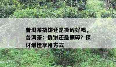 普洱茶撬饼还是撕碎好喝，普洱茶：撬饼还是撕碎？探讨更佳享用方式