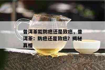 普洱茶能防癌还是致癌，普洱茶：防癌还是致癌？揭秘真相