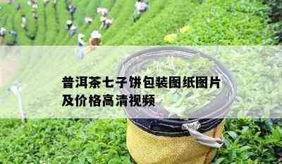 普洱茶七子饼包装图纸图片及价格高清视频