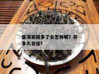 普洱茶囤多了会怎样呢？存多久合适？