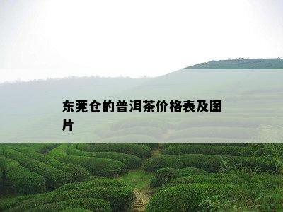 东莞仓的普洱茶价格表及图片