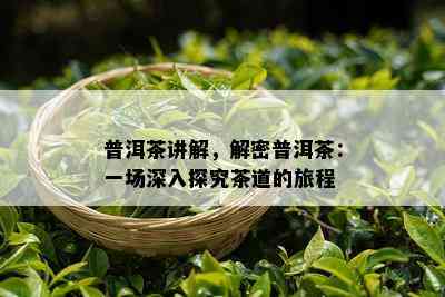 普洱茶讲解，解密普洱茶：一场深入探究茶道的旅程