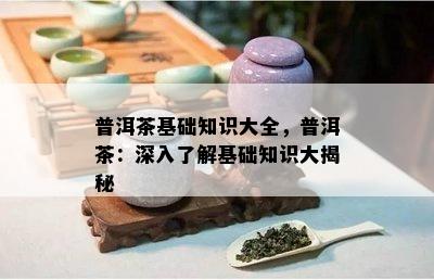 普洱茶基础知识大全，普洱茶：深入了解基础知识大揭秘