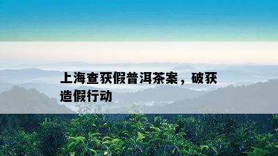 上海查获假普洱茶案，破获造假行动