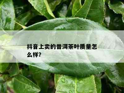 抖音上卖的普洱茶叶质量怎么样？