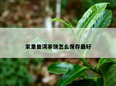 家里普洱茶饼怎么保存更好