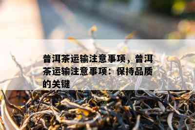 普洱茶运输注意事项，普洱茶运输注意事项：保持品质的关键