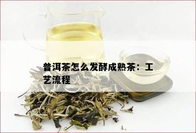 普洱茶怎么发酵成熟茶：工艺流程