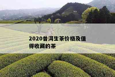 2020普洱生茶价格及值得收藏的茶