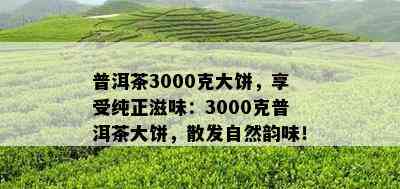 普洱茶3000克大饼，享受纯正滋味：3000克普洱茶大饼，散发自然韵味！