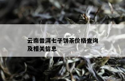 云南普洱七子饼茶价格查询及相关信息