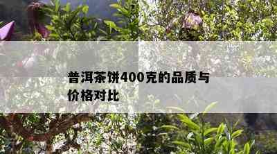 普洱茶饼400克的品质与价格对比