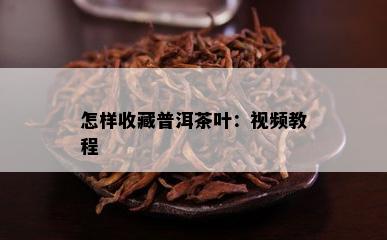 怎样收藏普洱茶叶：视频教程