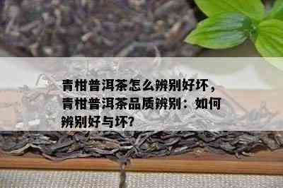 青柑普洱茶怎么辨别好坏，青柑普洱茶品质辨别：如何辨别好与坏？