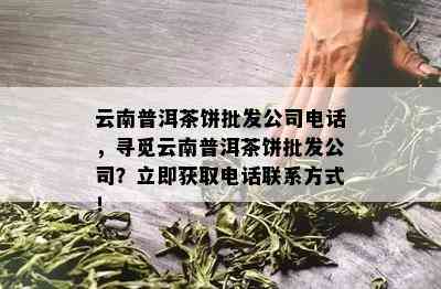 云南普洱茶饼批发公司电话，寻觅云南普洱茶饼批发公司？立即获取电话联系方式！