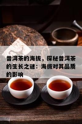 普洱茶的海拔，探秘普洱茶的生长之谜：海拔对其品质的影响