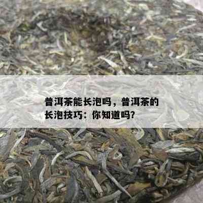 普洱茶能长泡吗，普洱茶的长泡技巧：你知道吗？