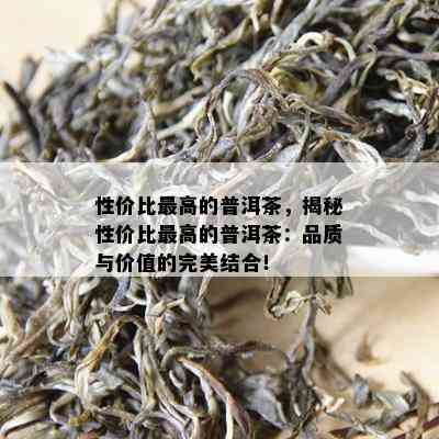 性价比更高的普洱茶，揭秘性价比更高的普洱茶：品质与价值的完美结合！