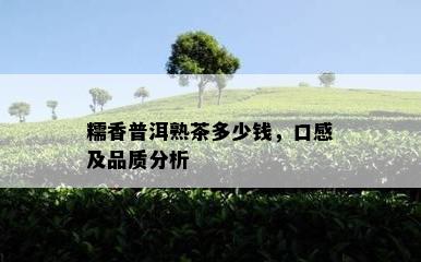 糯香普洱熟茶多少钱，口感及品质分析