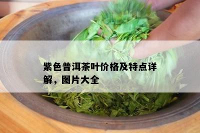 紫色普洱茶叶价格及特点详解，图片大全