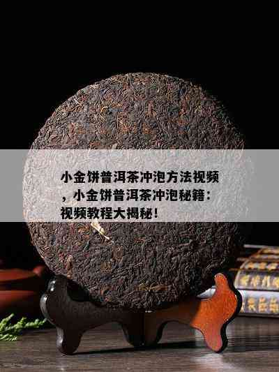 小金饼普洱茶冲泡方法视频，小金饼普洱茶冲泡秘籍：视频教程大揭秘！