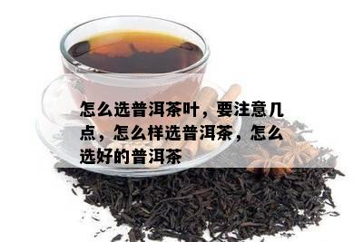 怎么选普洱茶叶，要注意几点，怎么样选普洱茶，怎么选好的普洱茶