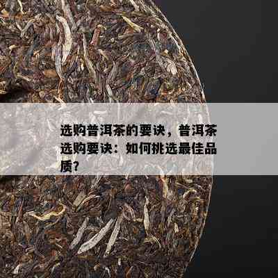 选购普洱茶的要诀，普洱茶选购要诀：如何挑选更佳品质？