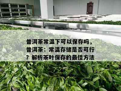 普洱茶常温下可以保存吗，普洱茶：常温存储是否可行？解析茶叶保存的更佳方法