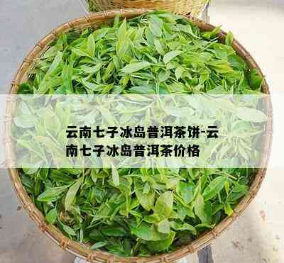 云南七子冰岛普洱茶饼-云南七子冰岛普洱茶价格