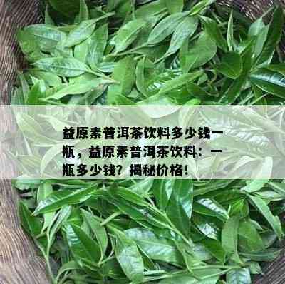 益原素普洱茶饮料多少钱一瓶，益原素普洱茶饮料：一瓶多少钱？揭秘价格！