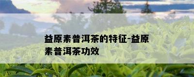 益原素普洱茶的特征-益原素普洱茶功效