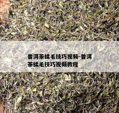 普洱茶揉毛技巧视频-普洱茶揉毛技巧视频教程