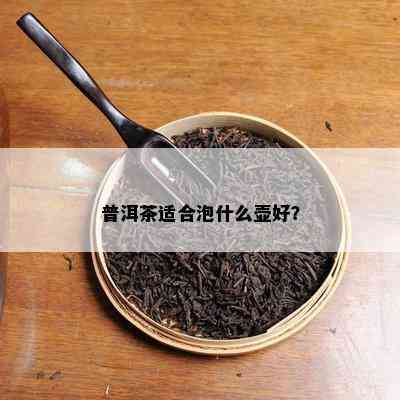 普洱茶适合泡什么壶好？