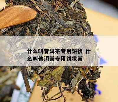 什么叫普洱茶专用饼状-什么叫普洱茶专用饼状茶