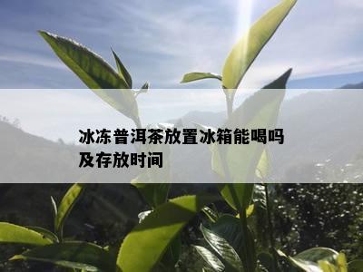 冰冻普洱茶放置冰箱能喝吗及存放时间