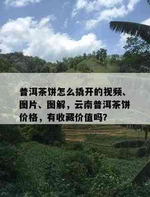 普洱茶饼怎么撬开的视频、图片、图解，云南普洱茶饼价格，有收藏价值吗？