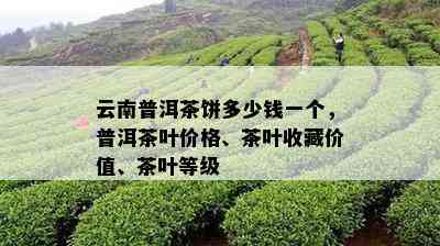 云南普洱茶饼多少钱一个，普洱茶叶价格、茶叶收藏价值、茶叶等级