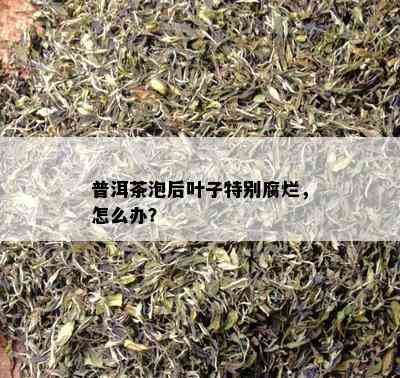 普洱茶泡后叶子特别腐烂，怎么办？