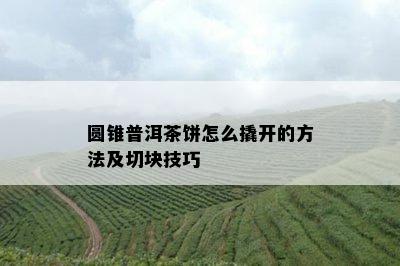 圆锥普洱茶饼怎么撬开的方法及切块技巧